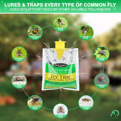 Disposable Hanging Fly Trap